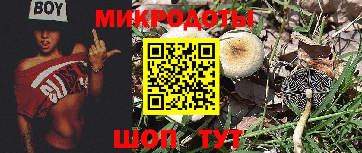 Моздок  Галлюциногенные грибы Psilocybe  Вход с VPN 
